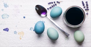DIY tingiu-se usando várias máscaras da couve vermelha dos ovos da páscoa azuis que secam na parte de poliestireno Páscoa feliz d fotografia de stock DIY tingiu-se usando várias máscaras da couve vermelha dos ovos da páscoa azuis que secam na parte de poliestireno Páscoa feliz d fotografia de stock