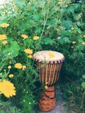 Djembe - Houten Trommel van West-Afrika Stock Foto's Djembe - Houten Trommel van West-Afrika Stock Foto's