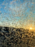 Djupfryst sidofönster av bilcloseupen royaltyfri foto Djupfryst sidofönster av bilcloseupen royaltyfri foto
