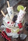 Djupfrysta yoghurtisglassar royaltyfri fotografi Djupfrysta yoghurtisglassar royaltyfri fotografi