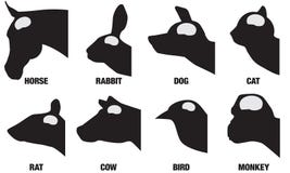 Djura Brain Sizes royaltyfri illustrationer Djura Brain Sizes royaltyfri illustrationer