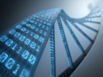 DNA Binary Stock Image DNA Binary Stock Image