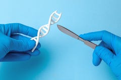 DNA helix research. Concept of genetic experiments on human biological code DNA. The scientist is holding DNA helix and scalpel. stock images DNA helix research. Concept of genetic experiments on human biological code DNA. The scientist is holding DNA helix and scalpel. stock images