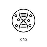 Dna icon. Trendy modern flat linear vector Dna icon on white background from thin line Human Body Parts collection royalty free illustration Dna icon. Trendy modern flat linear vector Dna icon on white background from thin line Human Body Parts collection royalty free illustration