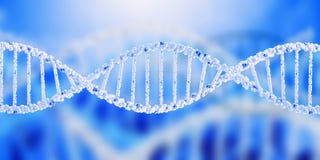 DNA molecule royalty free stock photo DNA molecule royalty free stock photo