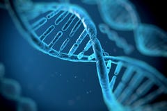 DNA-molecules