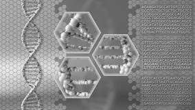 DNA molecules gray background. Genetic research, modern medicine or scanning concepts. 3D rendering