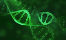 DNA research molecule. Analysis of structure human genome royalty free illustration DNA research molecule. Analysis of structure human genome royalty free illustration