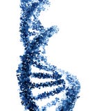 DNA-schroef op wit wordt geïsoleerd dat royalty-vrije illustratie DNA-schroef op wit wordt geïsoleerd dat royalty-vrije illustratie