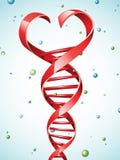DNA Strand In A Shape Of A Heart Stock Photo DNA Strand In A Shape Of A Heart Stock Photo