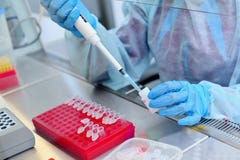 DNA-test in het laboratorium een laboratoriumtechnicus met een automaat in zijn handen leidt DNA-analyse in een steriele laborato royalty-vrije stock foto DNA-test in het laboratorium een laboratoriumtechnicus met een automaat in zijn handen leidt DNA-analyse in een steriele laborato royalty-vrije stock foto