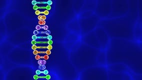 DNA ουράνιων τόξων (δεσοξυριβονουκλεϊνικό οξύ) με το μπλε υπόβαθρο διανυσματική απεικόνιση DNA ουράνιων τόξων (δεσοξυριβονουκλεϊνικό οξύ) με το μπλε υπόβαθρο διανυσματική απεικόνιση
