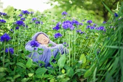 17 dni stary Uśmiechnięty nowonarodzony dziecko śpi na jego żołądku w koszu na naturze w ogródzie plenerowym obraz stock 17 dni stary Uśmiechnięty nowonarodzony dziecko śpi na jego żołądku w koszu na naturze w ogródzie plenerowym obraz stock