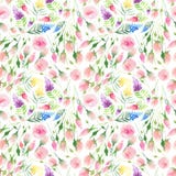 Do verão colorido floral bonito elegante bonito delicado da mola de Ender wildflowers vermelhos, azuis, roxos e amarelos e rosas Fotografia de Stock Royalty Free Do verão colorido floral bonito elegante bonito delicado da mola de Ender wildflowers vermelhos, azuis, roxos e amarelos e rosas Fotografia de Stock Royalty Free