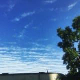 Do you see the plane? royalty free stock photography Do you see the plane? royalty free stock photography