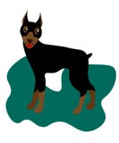 Doberman, pojedyncza ikona w kresk?wka stylu Doberman, bitmap, raster symbolu zapasu sieć ilustracji Doberman, pojedyncza ikona w kresk?wka stylu Doberman, bitmap, raster symbolu zapasu sieć ilustracji