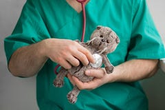 Docteur masculin avec la barbe dans les prises vertes de costume dans des mains et les examins avec le chat gris de jouet de stét images libres de droits Docteur masculin avec la barbe dans les prises vertes de costume dans des mains et les examins avec le chat gris de jouet de stét images libres de droits