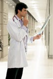 Doctor con la radiografía médica Doctor con la radiografía médica