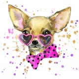 Dog fashion T-shirt graphics. dog illustration with splash watercolor textured background. unusual illustration watercolor puppy