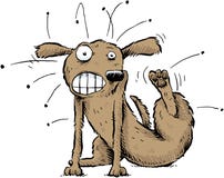 Dog with Fleas