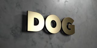 Dog - Gold sign mounted on glossy marble wall - 3D rendered royalty free stock illustration. This image can be used for an online website banner ad or a print Vector Illustration Dog - Gold sign mounted on glossy marble wall - 3D rendered royalty free stock illustration. This image can be used for an online website banner ad or a print Vector Illustration