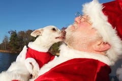 Dog Licking Santa's Beard stock image Dog Licking Santa's Beard stock image