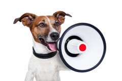 Dog megaphone. Dog shouting into a white and red megaphone Dog megaphone. Dog shouting into a white and red megaphone