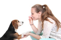 Dog obedience training royalty free stock photo Dog obedience training royalty free stock photo