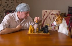 Dog och mogna mannen som spelar schack i en familjturnering fotografering för bildbyråer Dog och mogna mannen som spelar schack i en familjturnering fotografering för bildbyråer