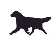 Dog runs silhouette, vector stock illustration Dog runs silhouette, vector stock illustration