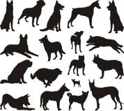 Dog Silhouette Vector Stock Image Dog Silhouette Vector Stock Image