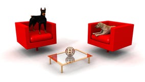 Dogs In The Lounge Room Royalty Free Stock Photography