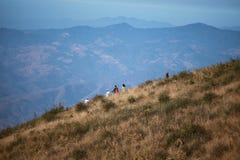 Doi Inthanon Thai Land stock images Doi Inthanon Thai Land stock images