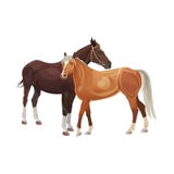 Dois cavalos que estão junto ilustração do vetor Dois cavalos que estão junto ilustração do vetor