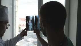 Dois doutores veem a imagem do mri e a discussão sobre ela Os trabalhadores médicos no hospital examinam cópias do raio X Médicos vídeos de arquivo Dois doutores veem a imagem do mri e a discussão sobre ela Os trabalhadores médicos no hospital examinam cópias do raio X Médicos vídeos de arquivo