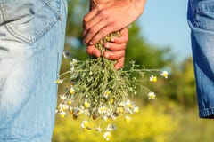 Dois indivíduos que guardam as mãos com um ramalhete do conceito do relacionamento das flores fotografia de stock royalty free Dois indivíduos que guardam as mãos com um ramalhete do conceito do relacionamento das flores fotografia de stock royalty free
