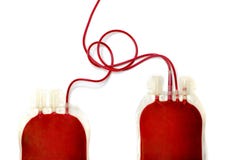 dois sacos enchidos com o sangue fresco fotografia de stock dois sacos enchidos com o sangue fresco fotografia de stock