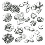 dokrętka set ilustracji dokrętka set ilustracji