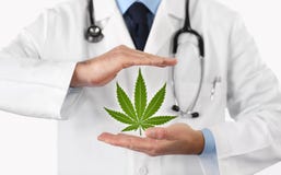 Doktorshänder med begrepp för marijuanasymbolläkarundersökning Royaltyfri Foto Doktorshänder med begrepp för marijuanasymbolläkarundersökning Royaltyfri Foto