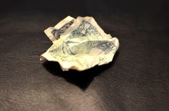Dollaro Bill spiegazzato Fondo delle banconote in dollari degli Stati Uniti uno Progettazione delle note di struttura dei soldi immagine stock Dollaro Bill spiegazzato Fondo delle banconote in dollari degli Stati Uniti uno Progettazione delle note di struttura dei soldi immagine stock