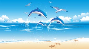 Dolphin and beach