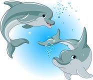 Dolphins Couple Royalty Free Stock Images Dolphins Couple Royalty Free Stock Images