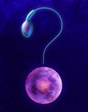 Domande di fertilità illustrazione di stock Domande di fertilità illustrazione di stock