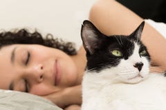 Domestic black and white cat and female owner sleeping in background. Concept of tranquility, peace royalty free stock images Domestic black and white cat and female owner sleeping in background. Concept of tranquility, peace royalty free stock images