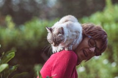 Domestic cat playing on the shoulder of smiling beautiful woman. Outdoor setting in home garden. royalty free stock images Domestic cat playing on the shoulder of smiling beautiful woman. Outdoor setting in home garden. royalty free stock images