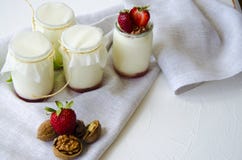 Domowej roboty jogurt z ?wie?ymi truskawkami E obraz stock Domowej roboty jogurt z ?wie?ymi truskawkami E obraz stock