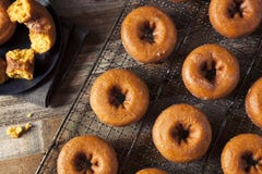 Domowej roboty Oszkleni jesieni bani Donuts Obrazy Royalty Free Domowej roboty Oszkleni jesieni bani Donuts Obrazy Royalty Free