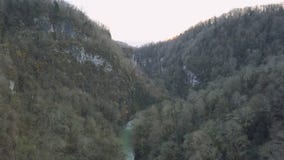 Donker bos met zwarte bomen klem Hoogste mening van het sombere grijze bos Donkere bos met het grijze bloemen bang maken royalty-vrije stock afbeelding Donker bos met zwarte bomen klem Hoogste mening van het sombere grijze bos Donkere bos met het grijze bloemen bang maken royalty-vrije stock afbeelding