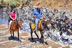 Donkey of Santorini