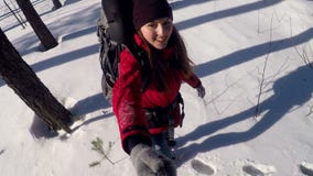 Donna allegra in una foresta che fa selfie stock footage Donna allegra in una foresta che fa selfie stock footage